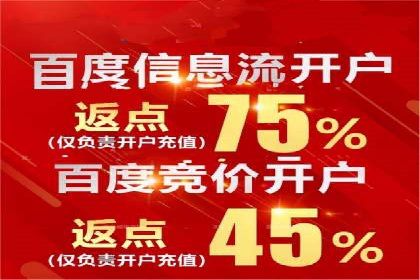 SEM主管实战技巧：案例分享与解读